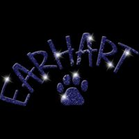 AGLT9   BLUE GLITTER Thumbnail