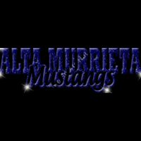 AGLT3   BLUE GLITTER Thumbnail