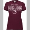 3067 Ladies' Extra Soft Triblend T-Shirt Thumbnail